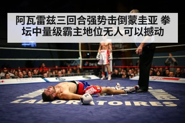 阿瓦雷兹三回合强势击倒蒙圭亚 拳坛中量级霸主地位无人可以撼动